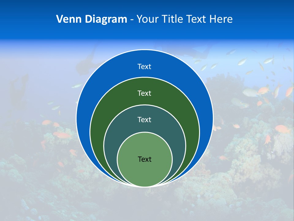 A Group Of People Swimming Over A Coral Reef PowerPoint Template