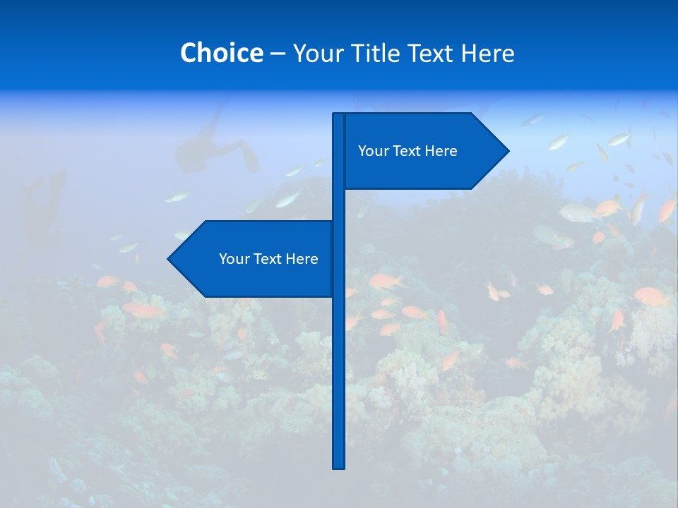 A Group Of People Swimming Over A Coral Reef PowerPoint Template