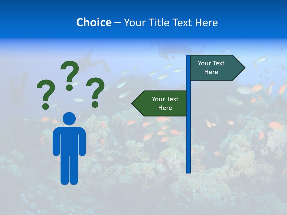 A Group Of People Swimming Over A Coral Reef PowerPoint Template