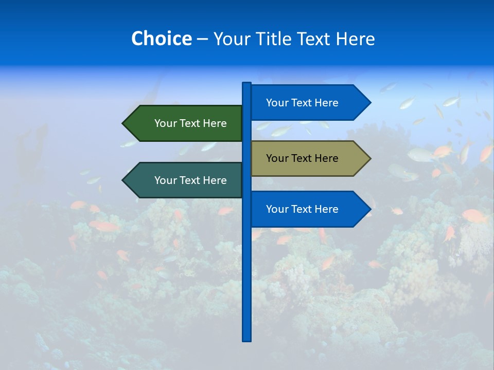 A Group Of People Swimming Over A Coral Reef PowerPoint Template