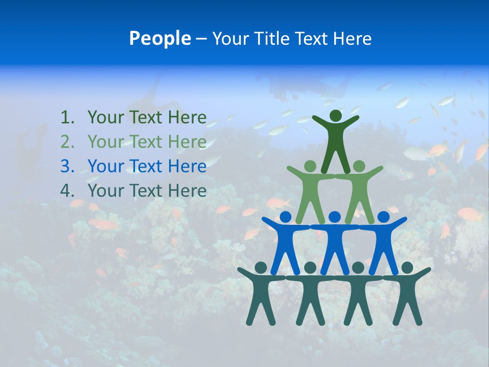 A Group Of People Swimming Over A Coral Reef PowerPoint Template
