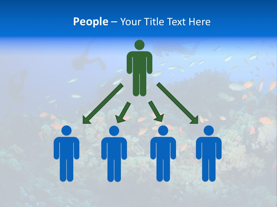 A Group Of People Swimming Over A Coral Reef PowerPoint Template