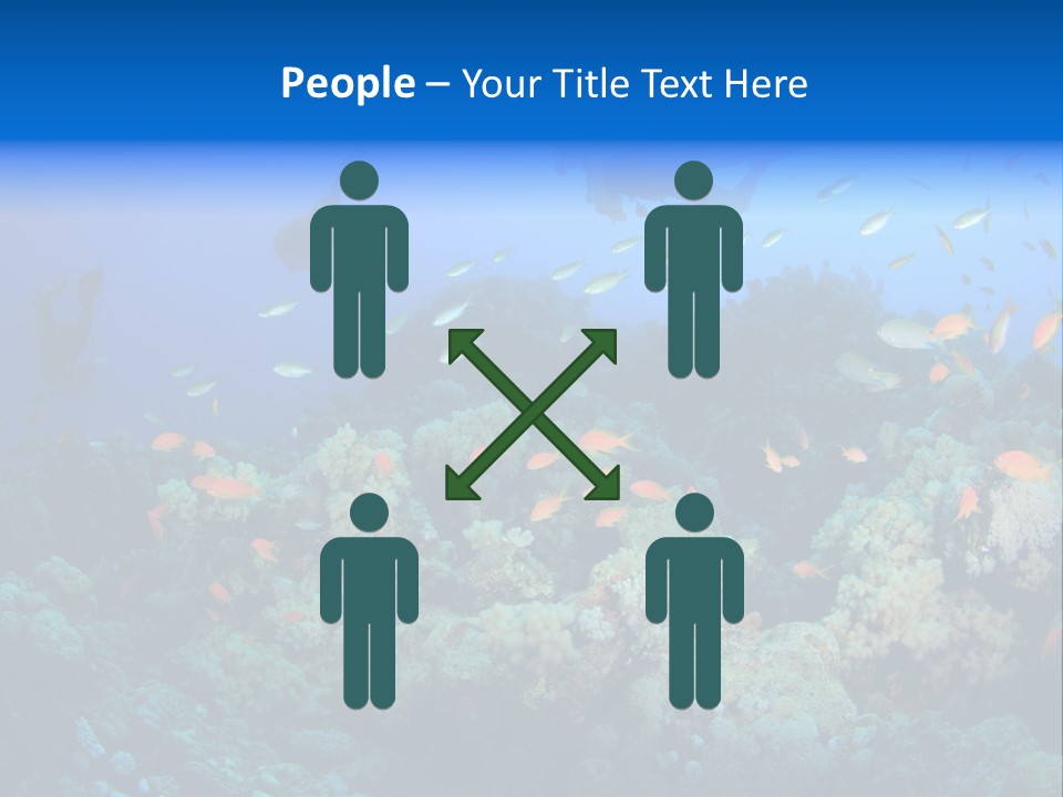 A Group Of People Swimming Over A Coral Reef PowerPoint Template