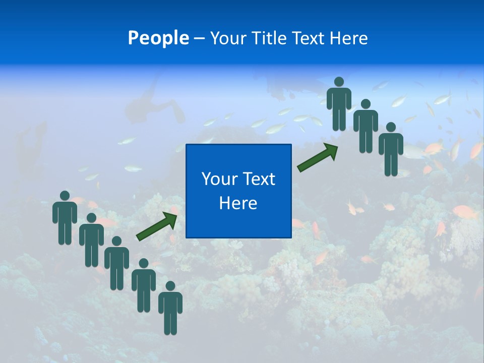 A Group Of People Swimming Over A Coral Reef PowerPoint Template
