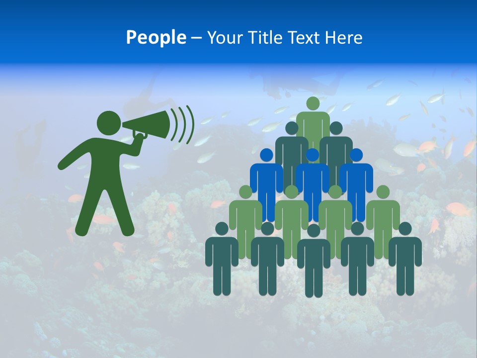 A Group Of People Swimming Over A Coral Reef PowerPoint Template