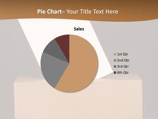 Referendum White Secrecy PowerPoint Template