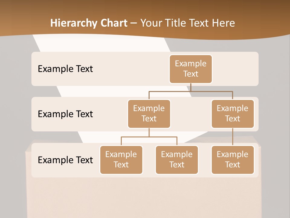 Referendum White Secrecy PowerPoint Template