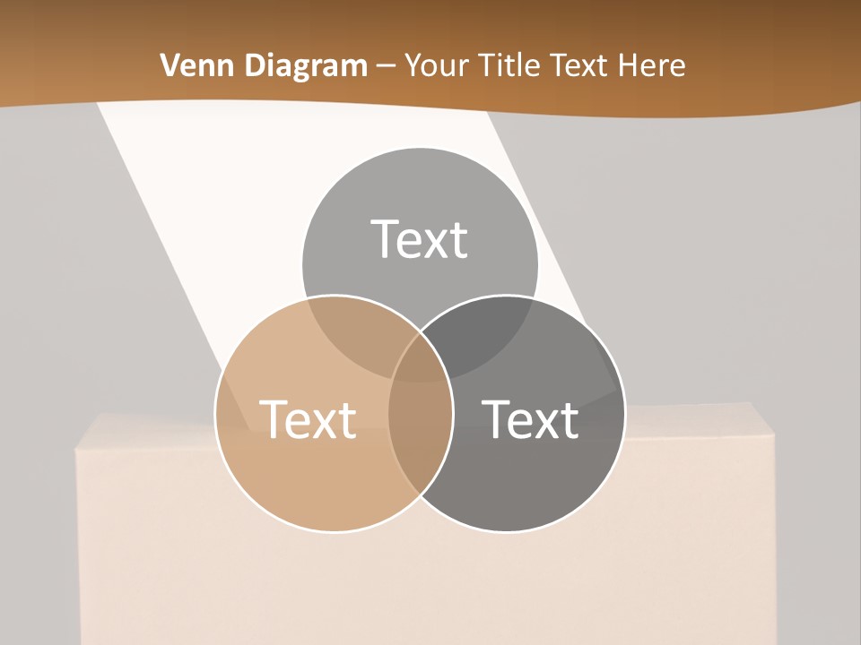 Referendum White Secrecy PowerPoint Template