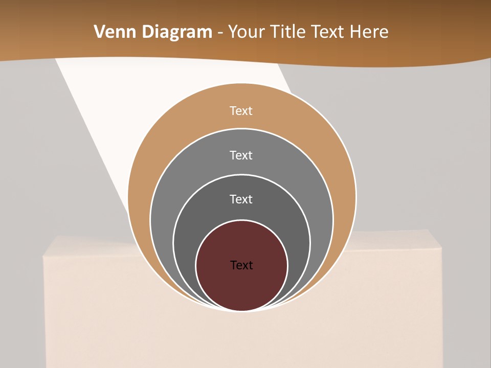 Referendum White Secrecy PowerPoint Template