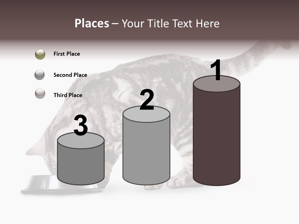 Hair Young Isolated PowerPoint Template