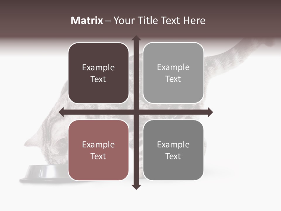 Hair Young Isolated PowerPoint Template