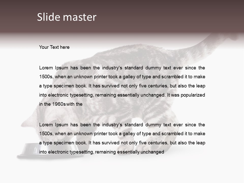 Hair Young Isolated PowerPoint Template