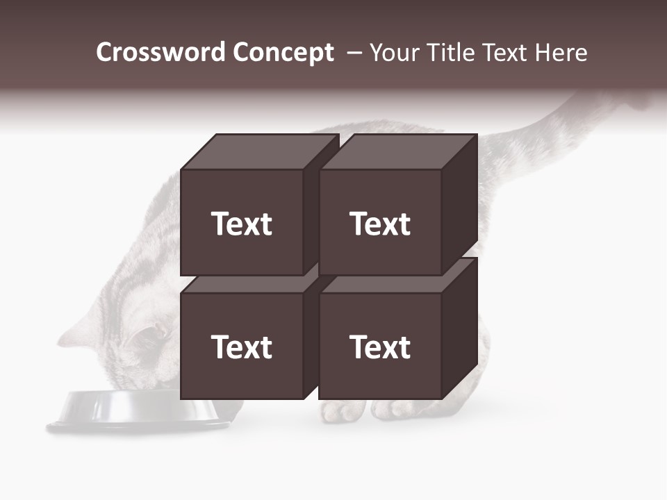 Hair Young Isolated PowerPoint Template