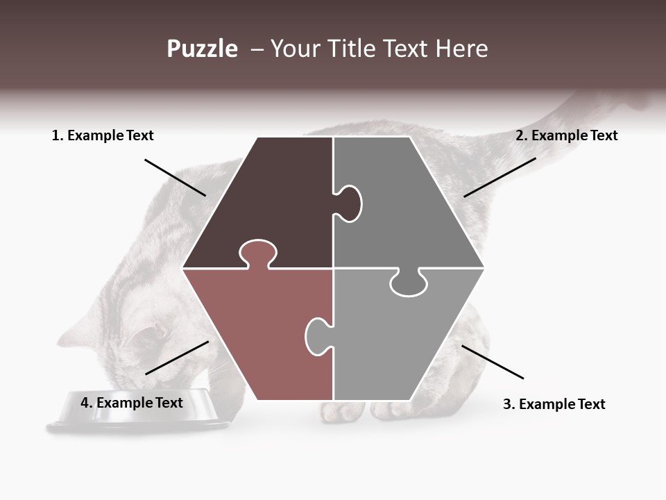 Hair Young Isolated PowerPoint Template