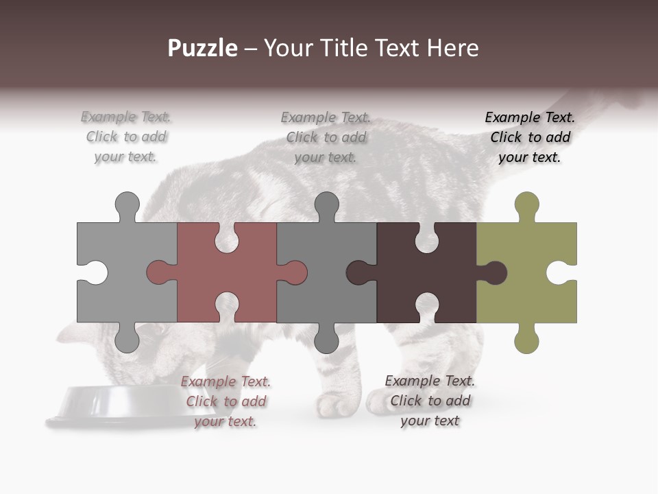 Hair Young Isolated PowerPoint Template