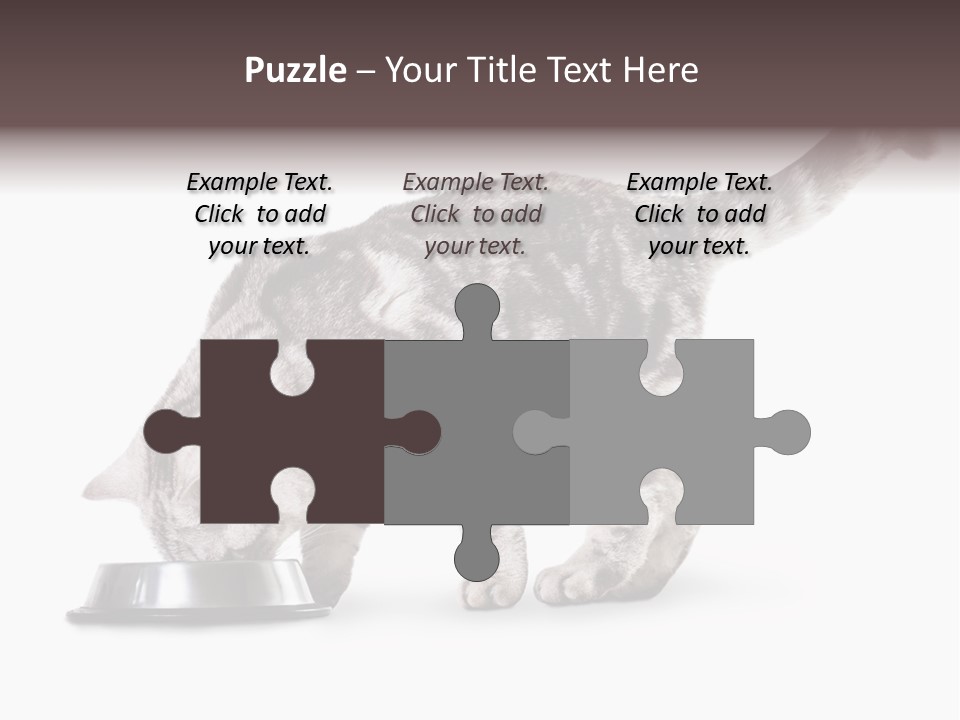 Hair Young Isolated PowerPoint Template