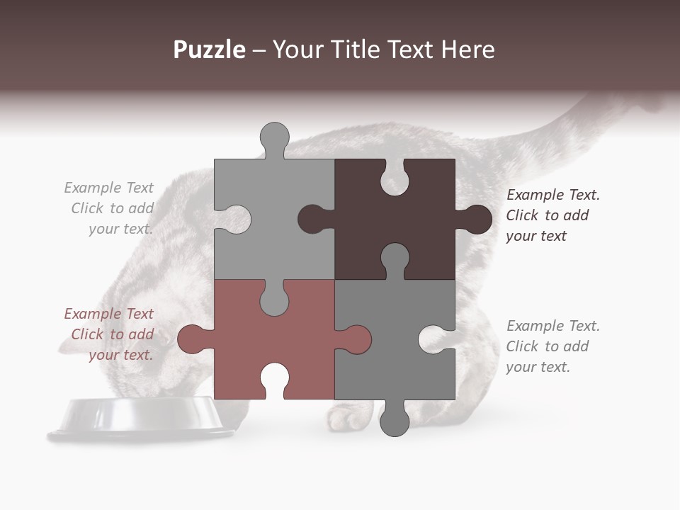 Hair Young Isolated PowerPoint Template