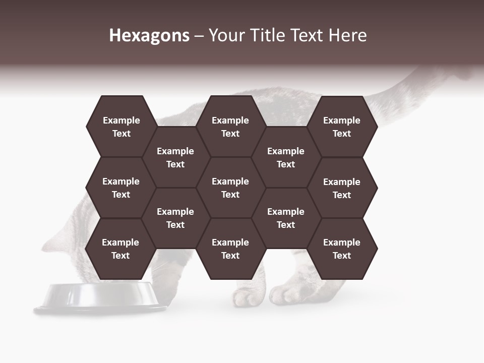 Hair Young Isolated PowerPoint Template