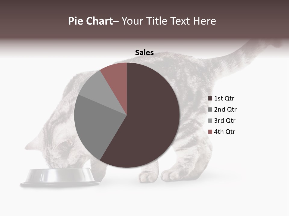 Hair Young Isolated PowerPoint Template
