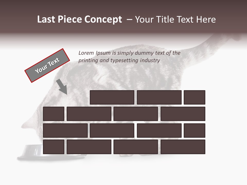 Hair Young Isolated PowerPoint Template