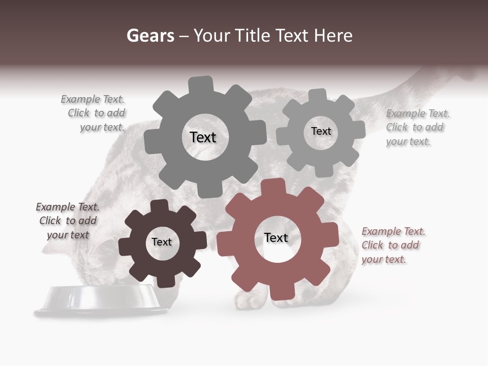 Hair Young Isolated PowerPoint Template