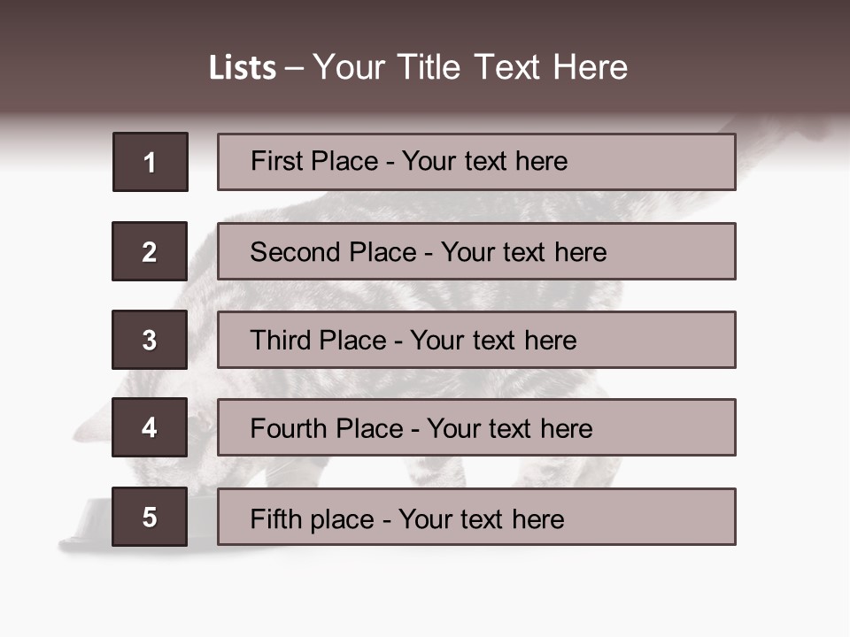 Hair Young Isolated PowerPoint Template