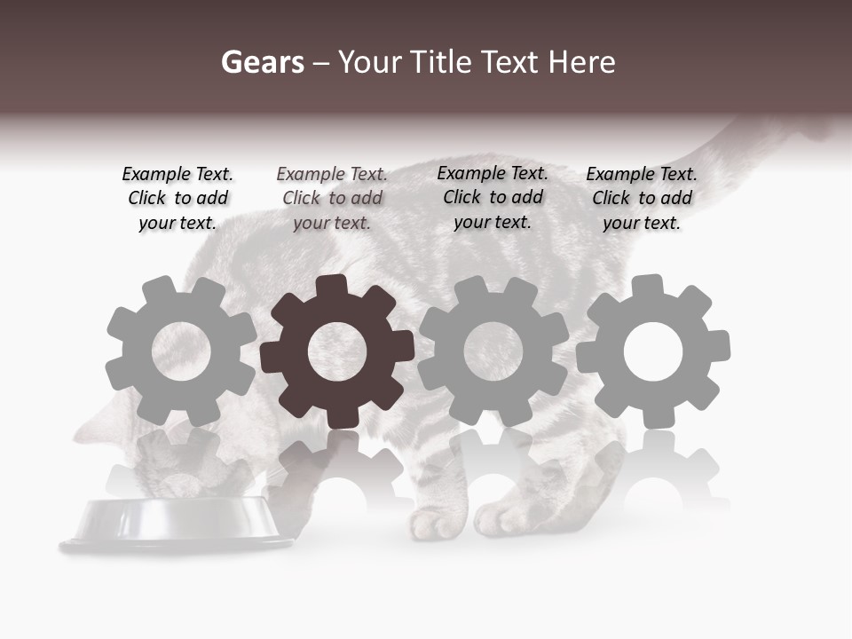 Hair Young Isolated PowerPoint Template