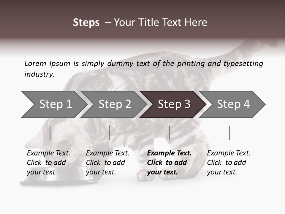 Hair Young Isolated PowerPoint Template