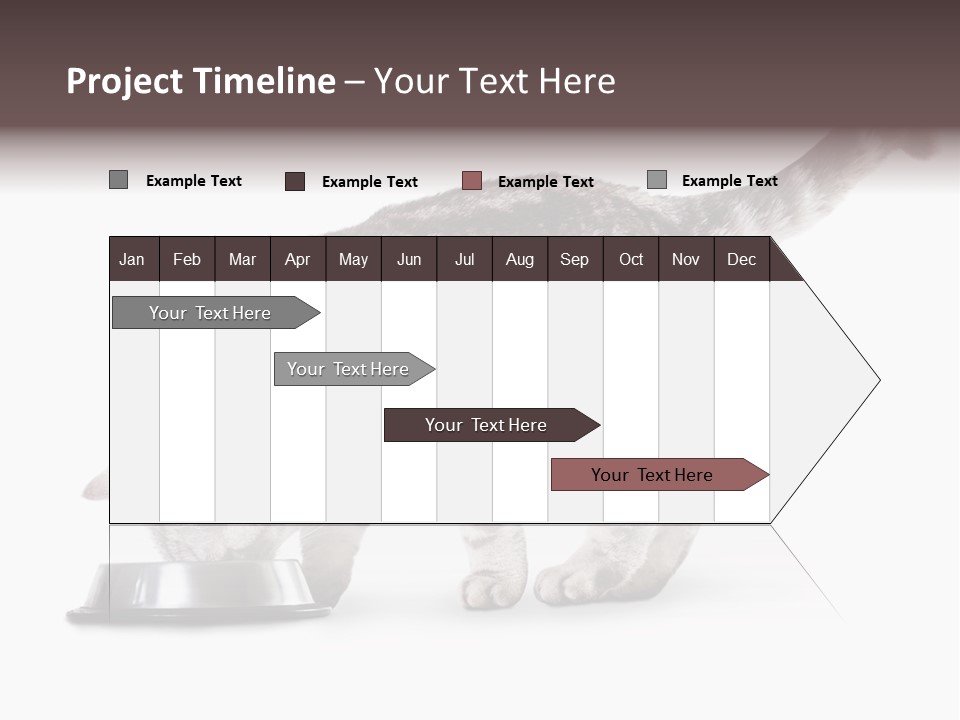Hair Young Isolated PowerPoint Template