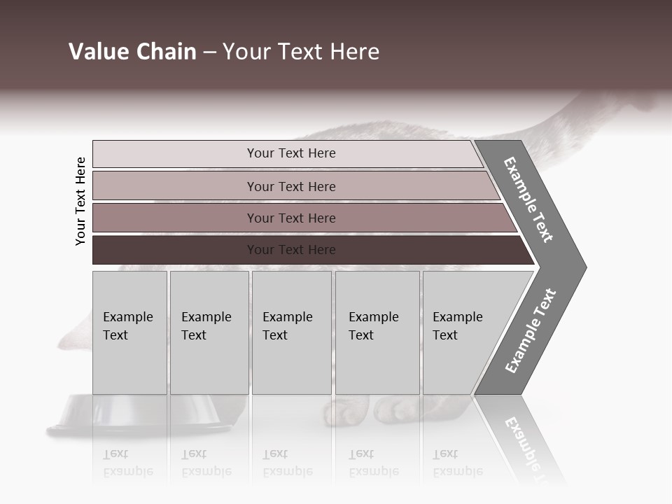 Hair Young Isolated PowerPoint Template