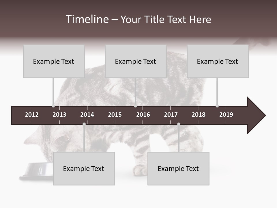 Hair Young Isolated PowerPoint Template