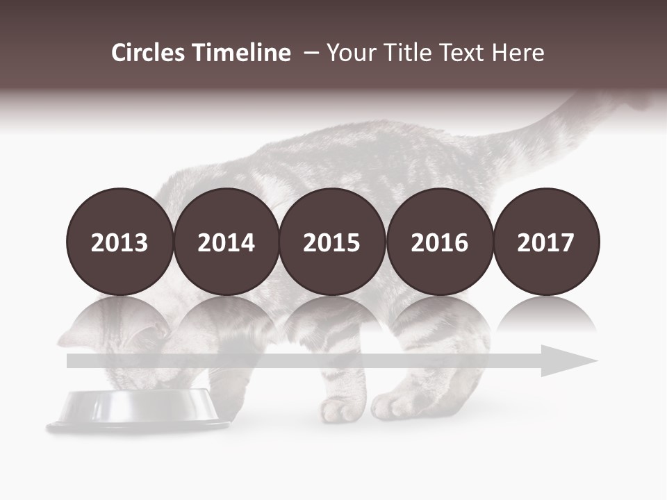 Hair Young Isolated PowerPoint Template