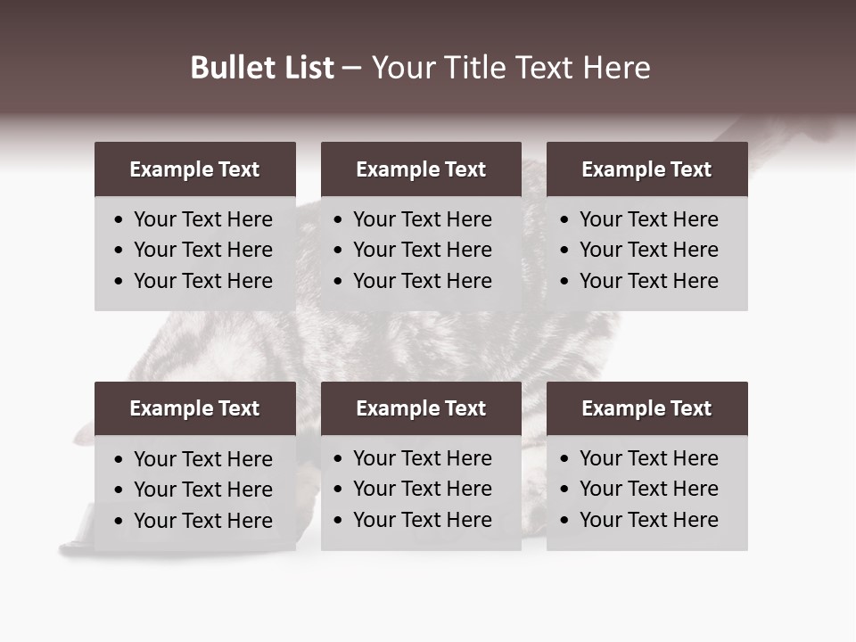 Hair Young Isolated PowerPoint Template