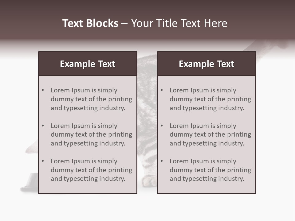 Hair Young Isolated PowerPoint Template