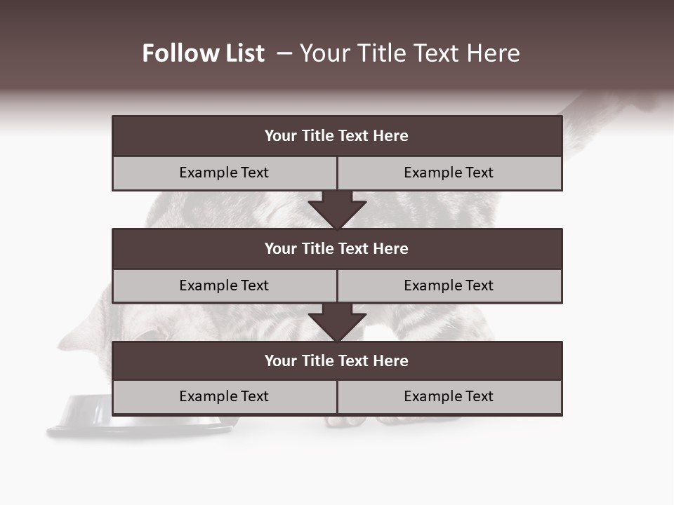 Hair Young Isolated PowerPoint Template