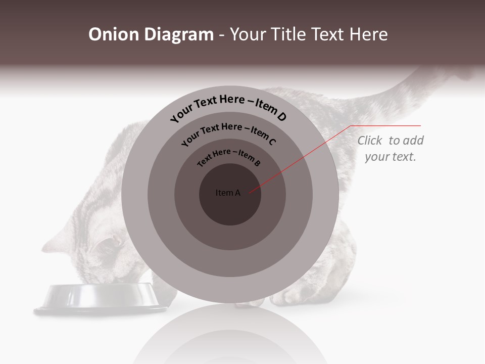 Hair Young Isolated PowerPoint Template