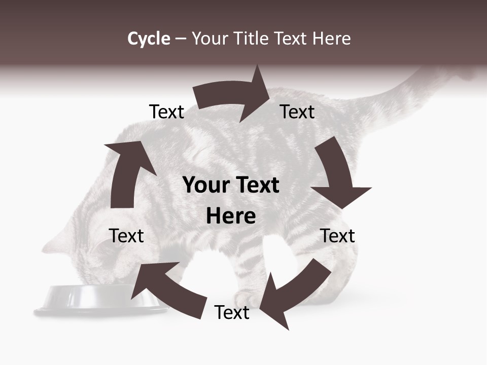 Hair Young Isolated PowerPoint Template