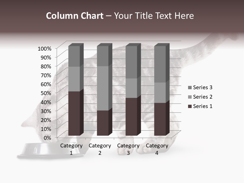 Hair Young Isolated PowerPoint Template