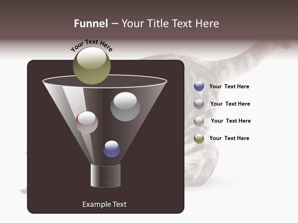 Hair Young Isolated PowerPoint Template