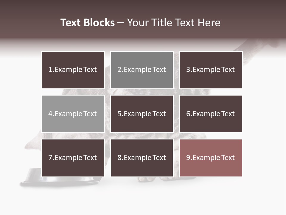 Hair Young Isolated PowerPoint Template