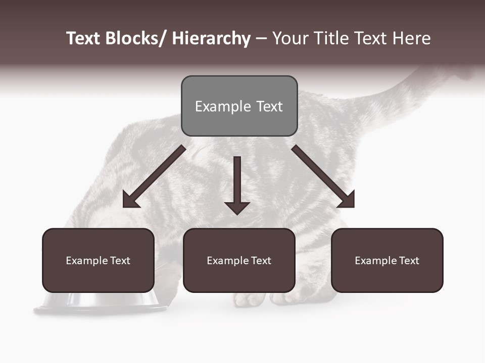 Hair Young Isolated PowerPoint Template