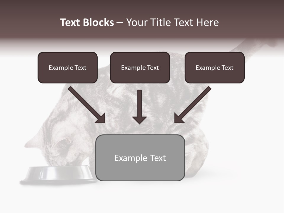 Hair Young Isolated PowerPoint Template
