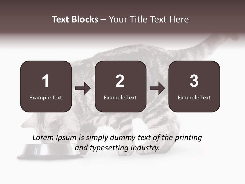 Hair Young Isolated PowerPoint Template