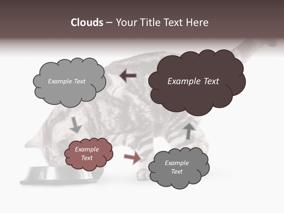 Hair Young Isolated PowerPoint Template