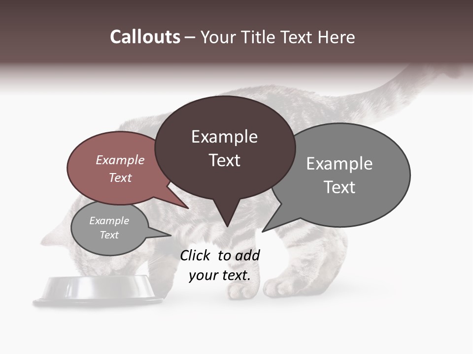 Hair Young Isolated PowerPoint Template