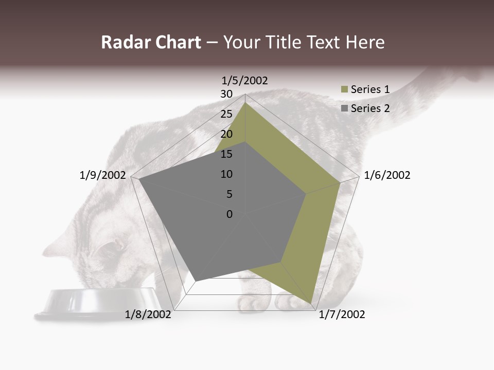 Hair Young Isolated PowerPoint Template