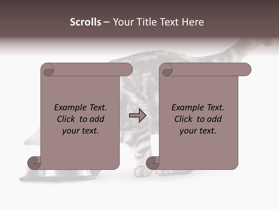 Hair Young Isolated PowerPoint Template