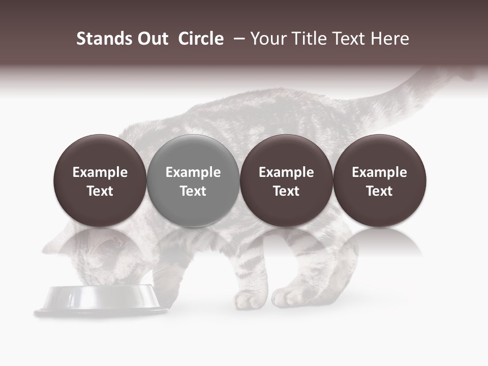 Hair Young Isolated PowerPoint Template