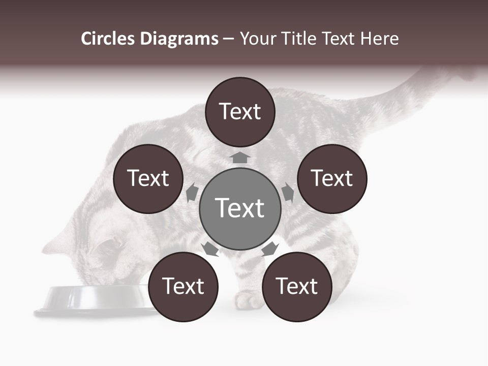 Hair Young Isolated PowerPoint Template