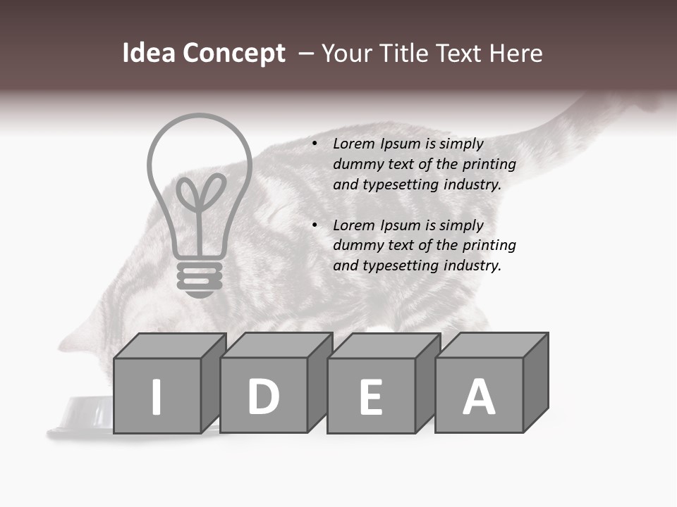 Hair Young Isolated PowerPoint Template